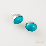 Turquoise Earrings in Sterling Silver on Post